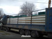Евробион-100. Доставка
